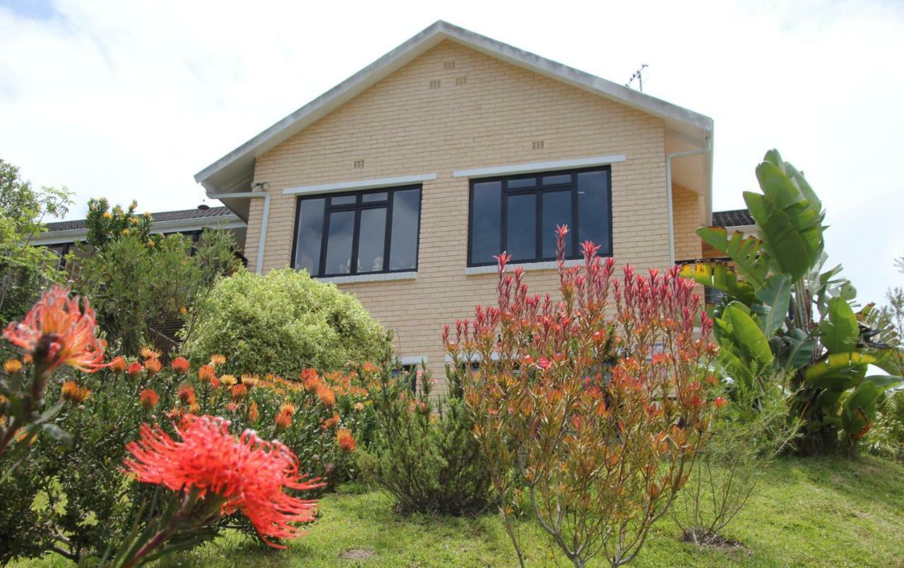 Garden Cottage in Ambiente Guest House Knysna Extérieur photo