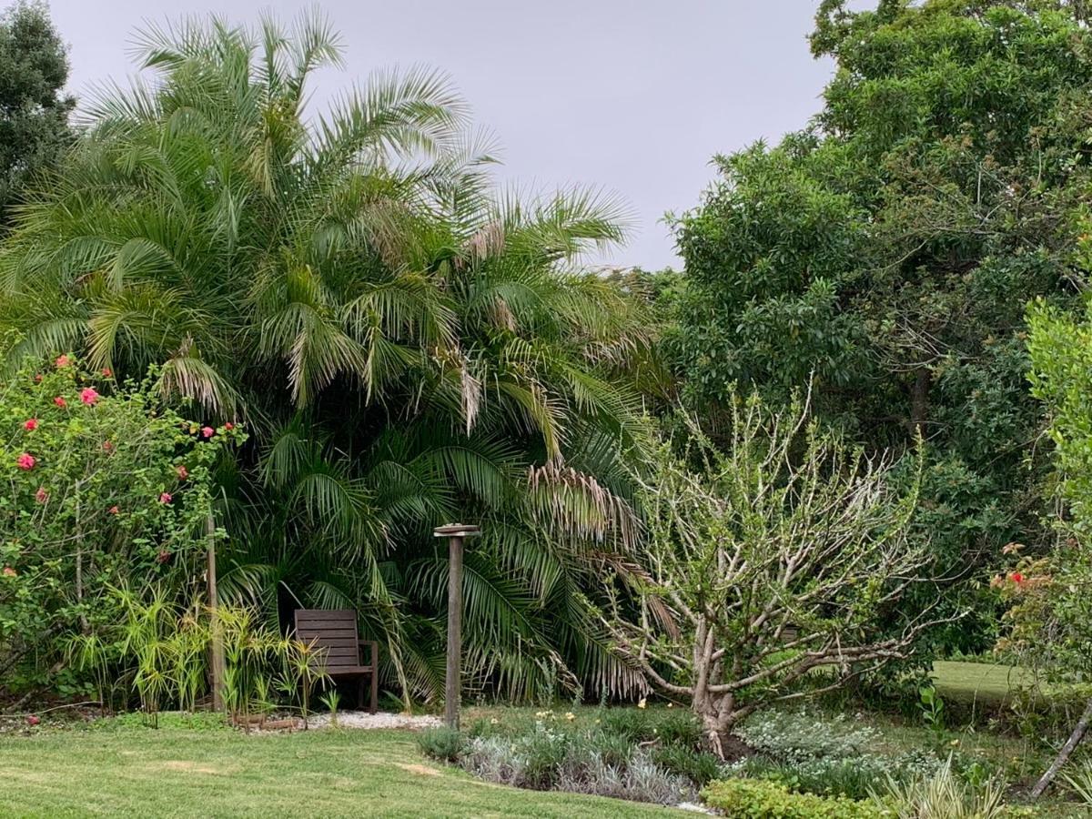 Garden Cottage in Ambiente Guest House Knysna Extérieur photo
